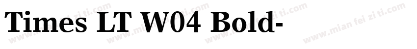 Times LT W04 Bold字体转换